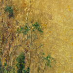 Paskendusi senmergė