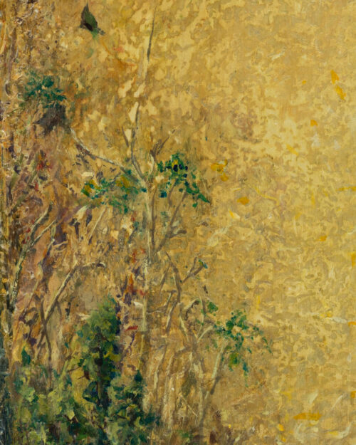 Paskendusi senmergė