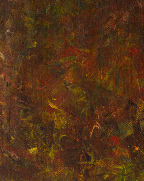 Prisijaukinusi svajonę